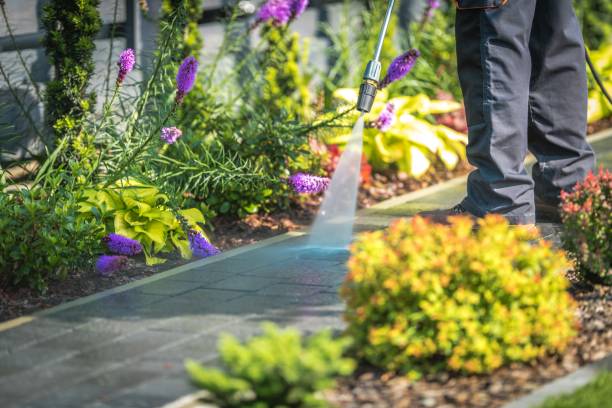 Trusted Guyton, GA  Pressure Washing Services Experts